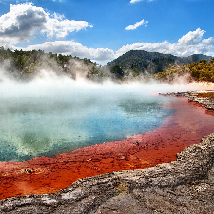 New Zealand's North Island: 11 Days in Auckland and Rotorua