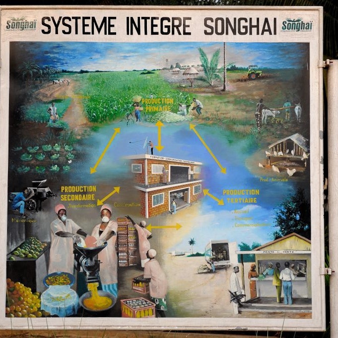 PORTO NOVO, BENIN - JANUARY 01: F Godfrey Nzamujo, Director of the Center of Songhai;Dominican father, inhabitant of Niger of origin. He started 20 years ago the Songhai Center , the center of development of the agriculture in Africa. A real success on January 01, 2010 in Porto Novo, Benin. (Photo by Xavier DESMIER/Gamma-Rapho via Getty Images)
948324108