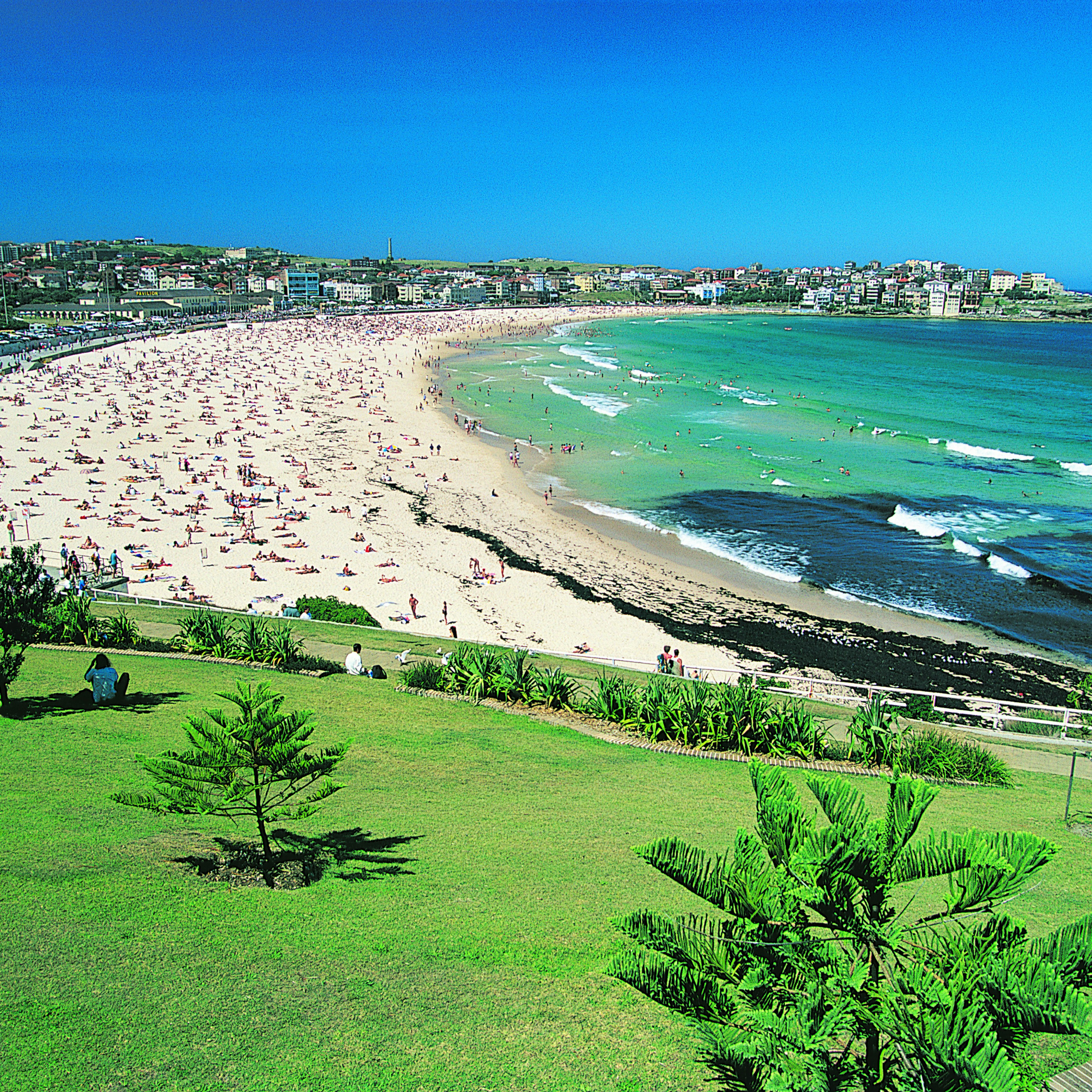 Bondi Beach, New South Wales, Australia