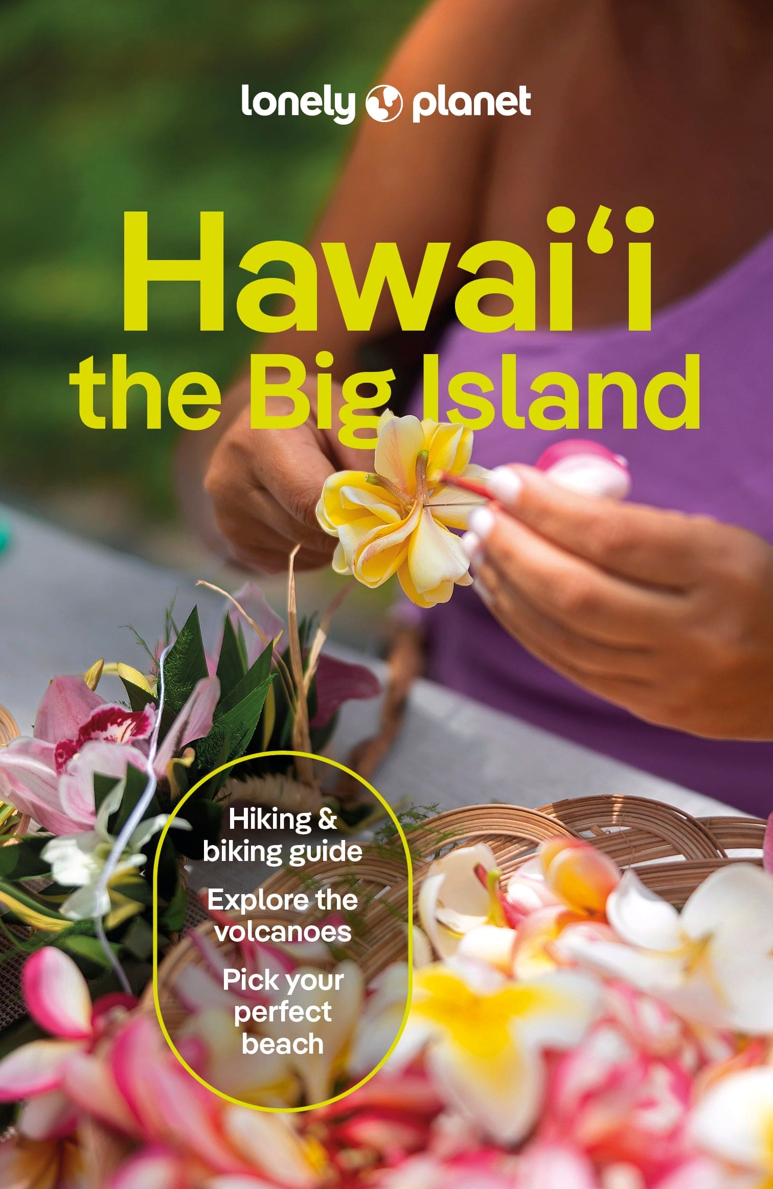 Hawaii the Big Island - Book