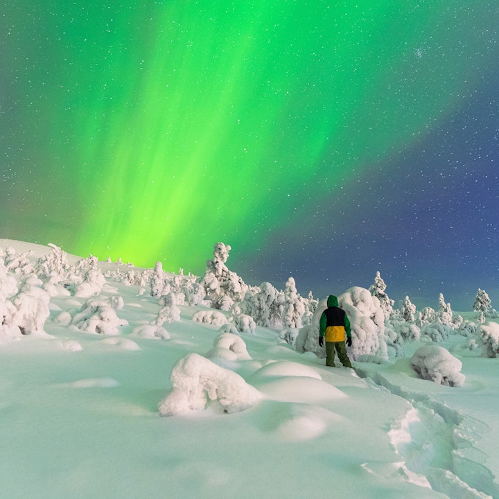 Finding Your True North in Finland: An Arctic Expedition