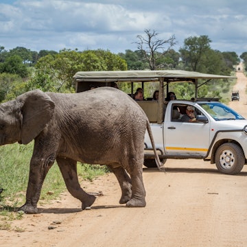 A guide to Kruger National Park, South Africa