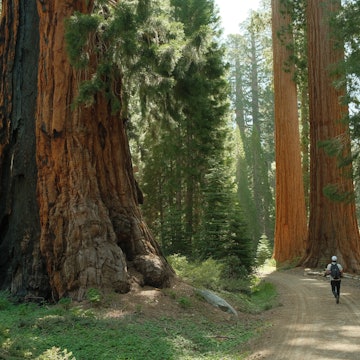 The 12 top national parks in the United States