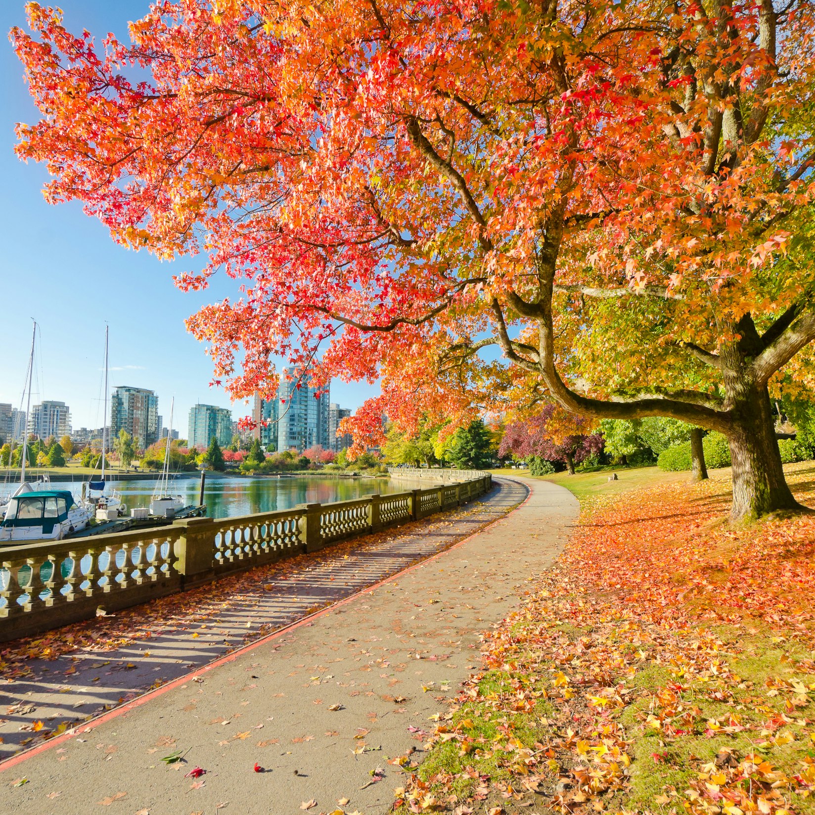 Colors of the autumn. Gorgeous sea walk in the park. Stanley Park in Vancouver. Canada.; Shutterstock ID 115945702; Your name (First / Last): Josh Vogel; Project no. or GL code: 56530; Network activity no. or Cost Centre: Online-Design; Product or Project: 65050/7529/Josh Vogel/LP.com Destination Galleries