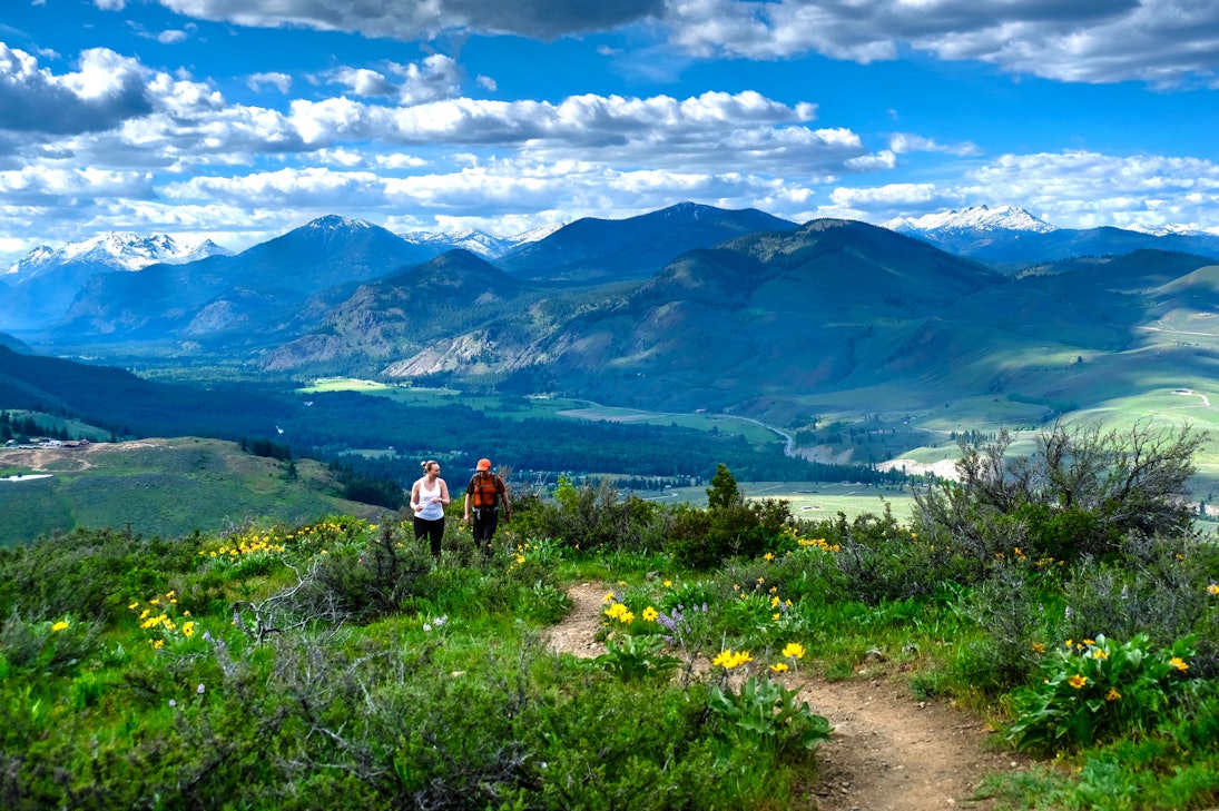 Meadows in North Cascades National Park, Winthrop, Washington.
